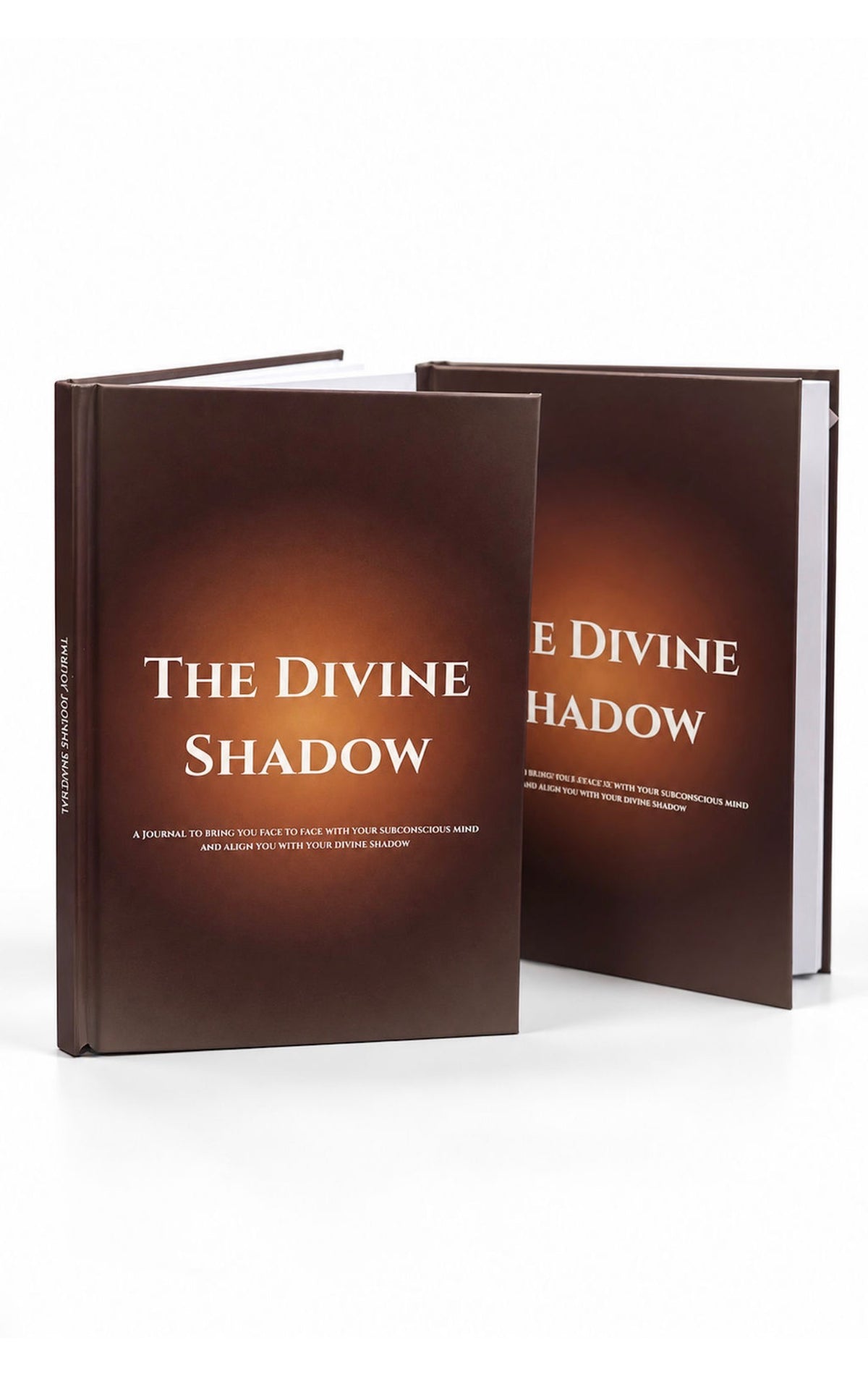 The Divine Shadow Journal